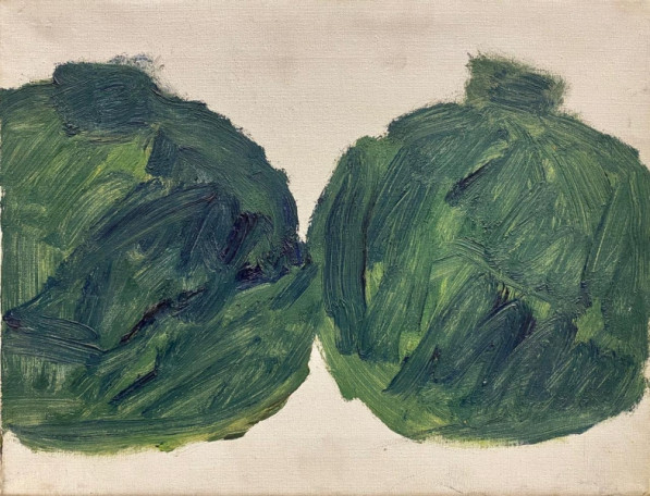 Two heads of cabbage