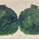 Two heads of cabbage