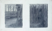 Forest. Horizontal two-part landscape