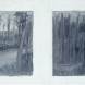 Forest. Horizontal two-part landscape